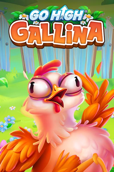 Go High Gallina